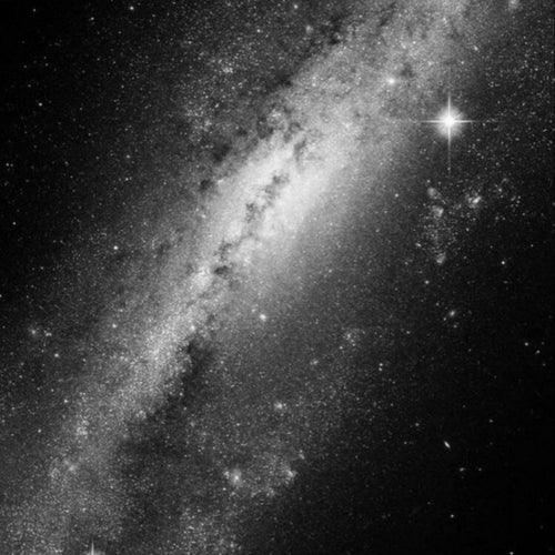 Are they thinking about us in the stars?