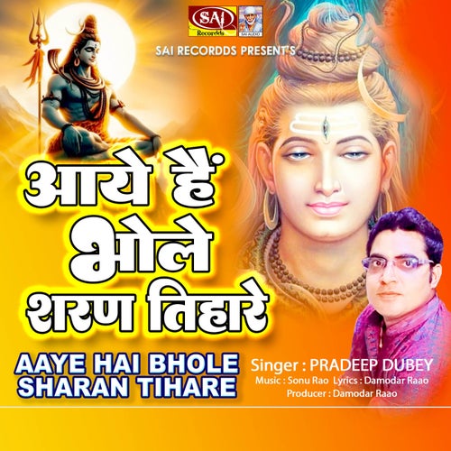 Aaye Hai Bhole Sharan Tihare