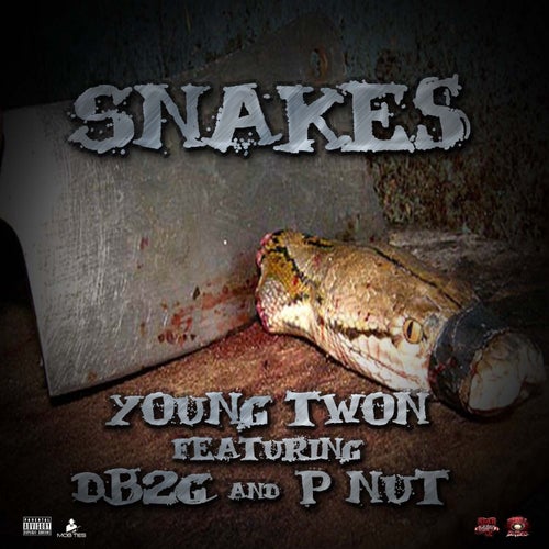Snakes (feat. DB2G & P Nut)