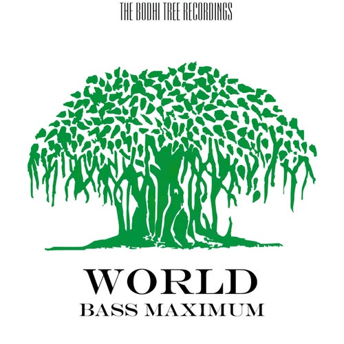 Bass Maximum