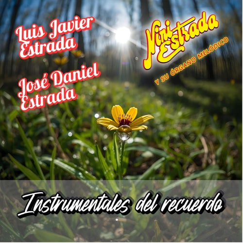 Instrumentales del recuerdo