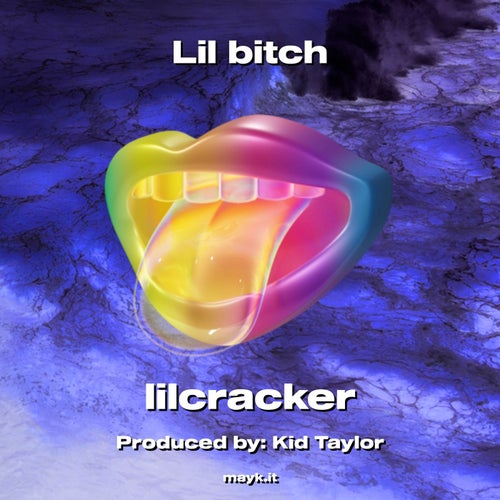 Lil b****