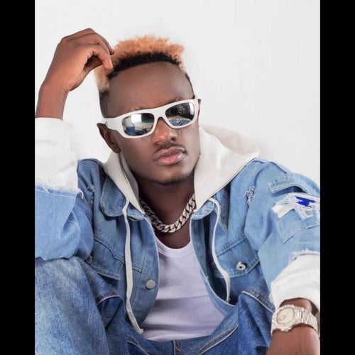 Samoya #Brucemelody