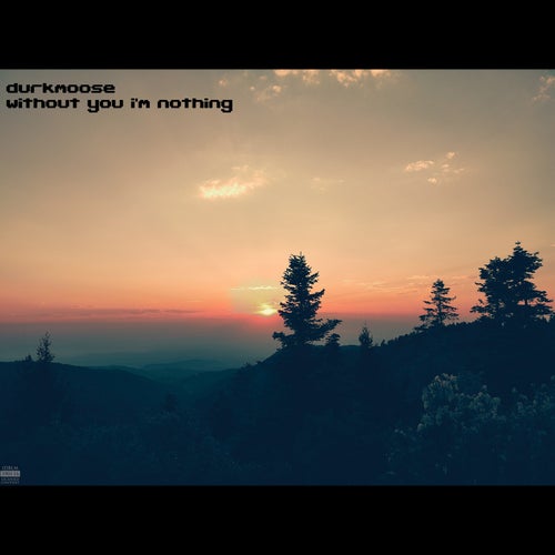 Without You I'm Nothing (for Travis)