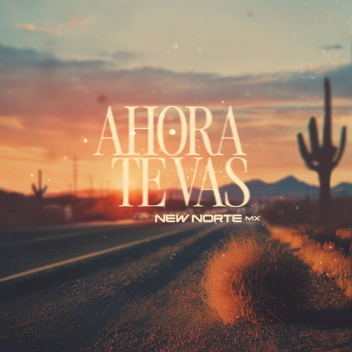Y AHORA TE VAS