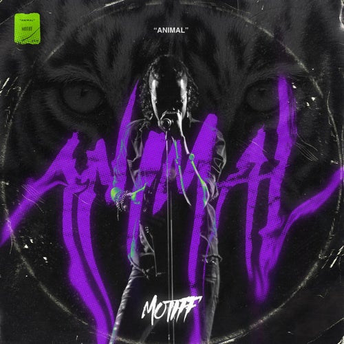 Motiff Profile