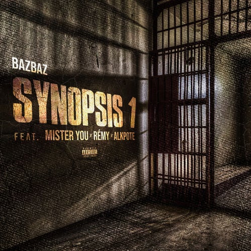 Synopsis 1