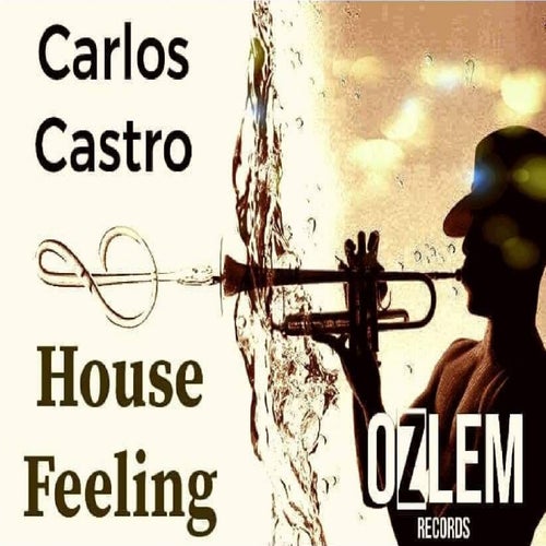 HOUSE FEELINGS