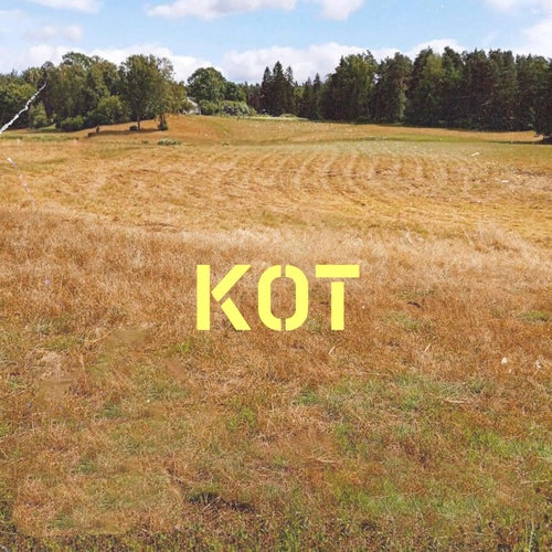 Кот