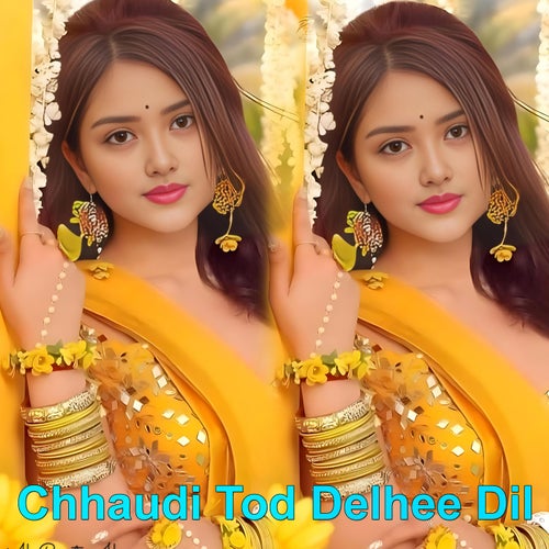 Chhaudi Tod Delhee Dil