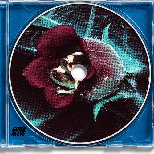 Release of the week