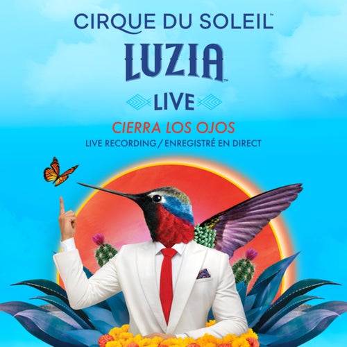 Cierra Los Ojos (Live)