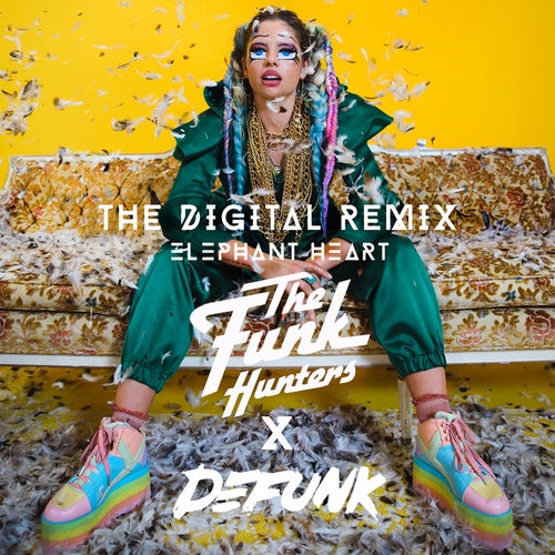 The Digital (The Funk Hunters & Defunk Remix)