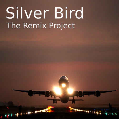 Silver Bird