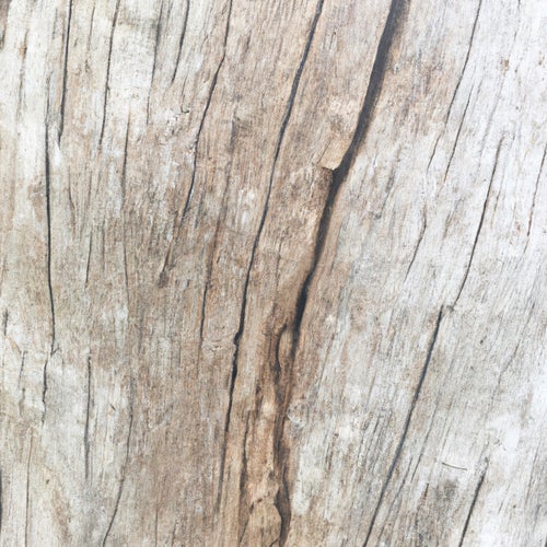 Stick