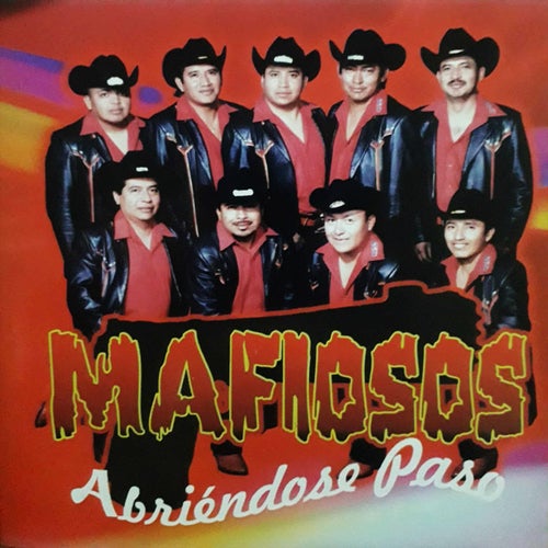 ABRIENDOSE PASO