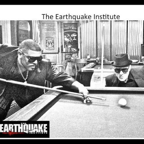 The Earthquake Institute Profile