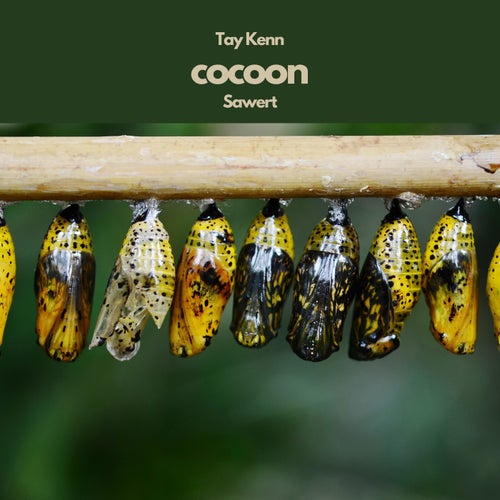 cocoon (feat. Sawert)