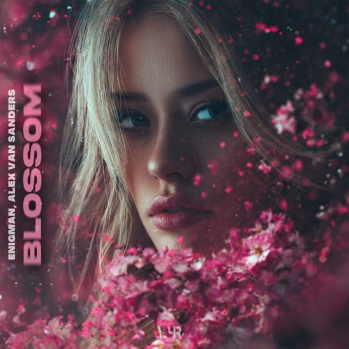 Blossom