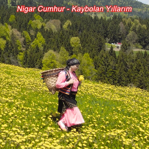 Kaybolan Yıllarım