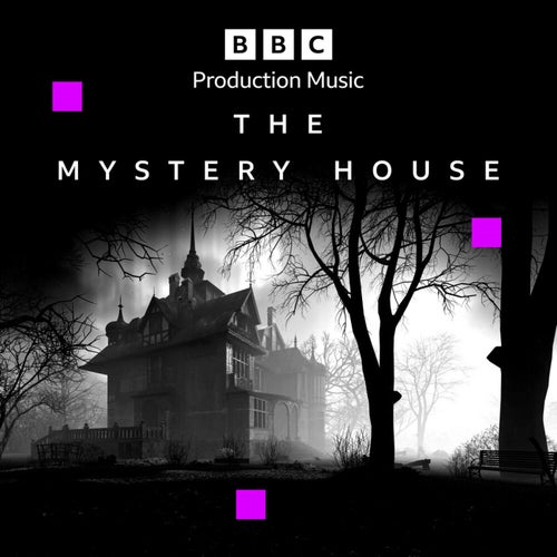 The Mystery House