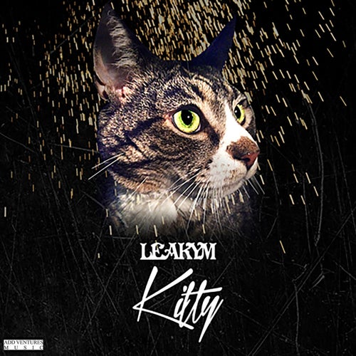 Kitty
