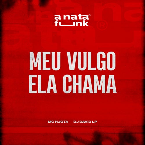 Meu Vulgo Ela Chama