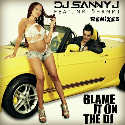 Blame It On the DJ (feat. Mr. Shammi) (Remixes)