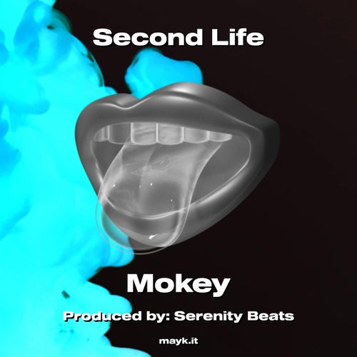Second Life