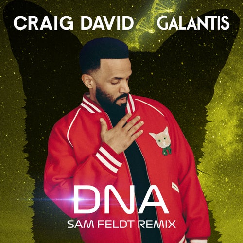 DNA (Sam Feldt Remix)