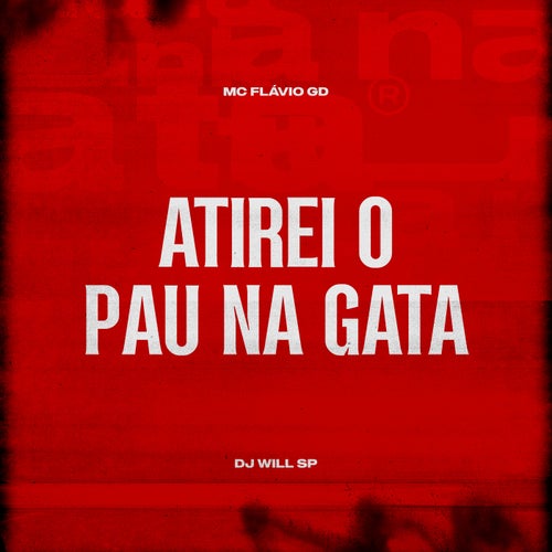 Atirei o Pau Na Gata