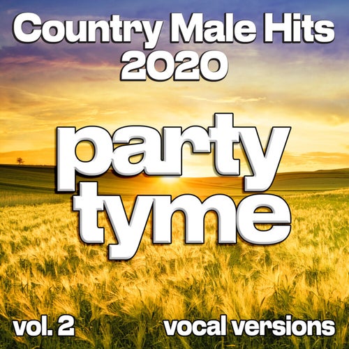 Country Male Hits 2020, Vol. 2 (Vocal)