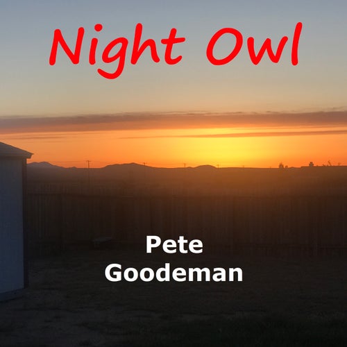 Night Owl
