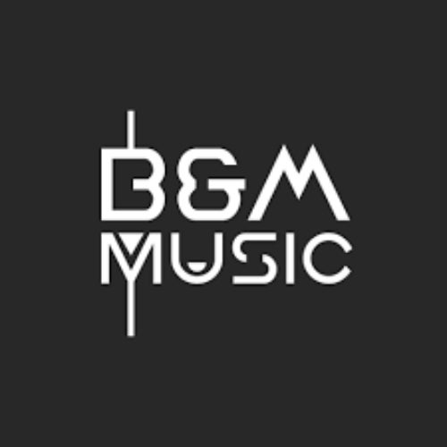 B&M Music spol. s.r.o. Profile