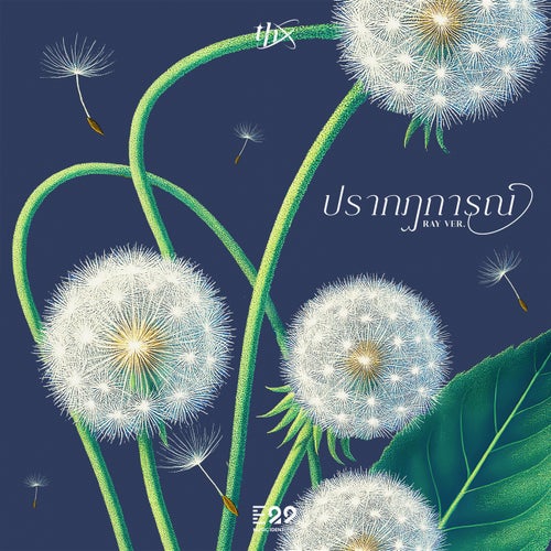 ปรากฏการณ์ Ray Ver.