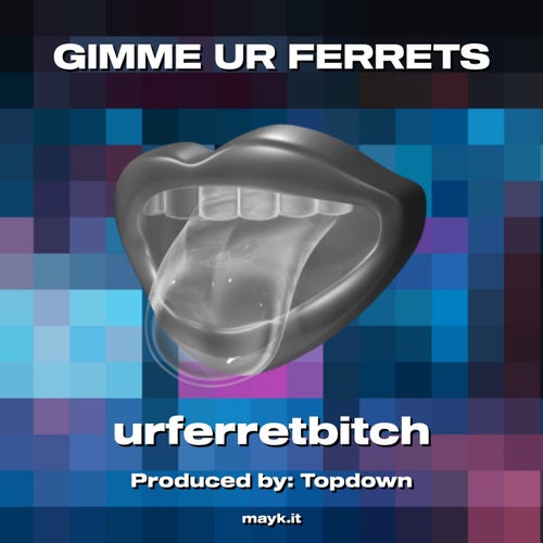 GIMME UR FERRETS