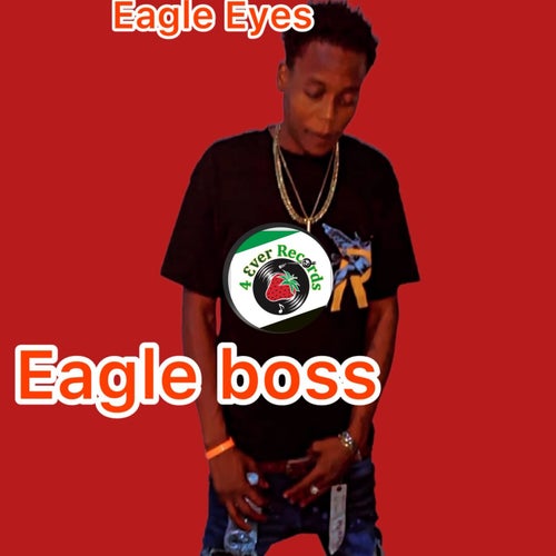 Eagle Eyes