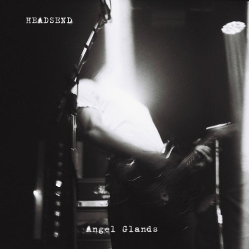 Angel Glands