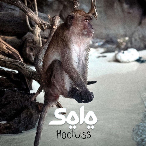 SOLO