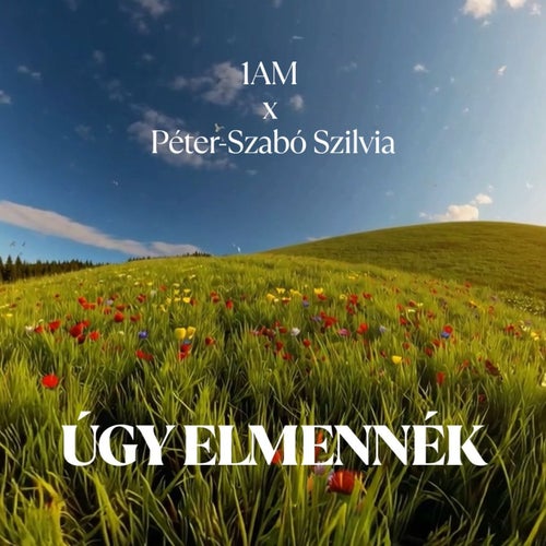Úgy elmennék