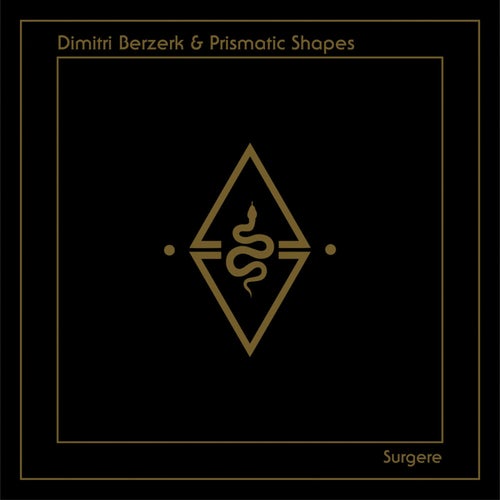 Surgere