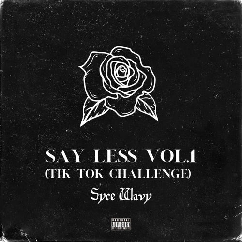 Say Less, Vol. 1 (Tik Tok Challenge)