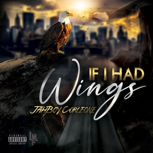 If I Had Wings