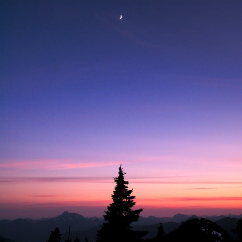 Distant
