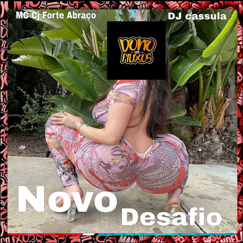 Novo Desafio
