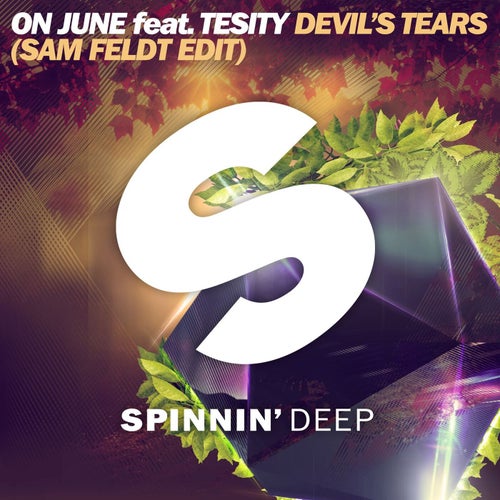 The Devil's Tears (feat. Tesity)
