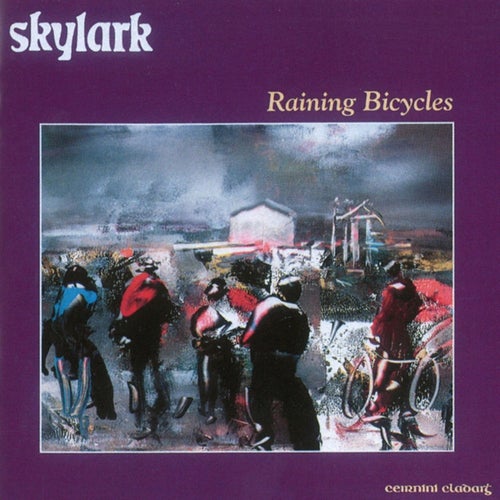 Raining Bicycles