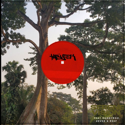 Release of the week