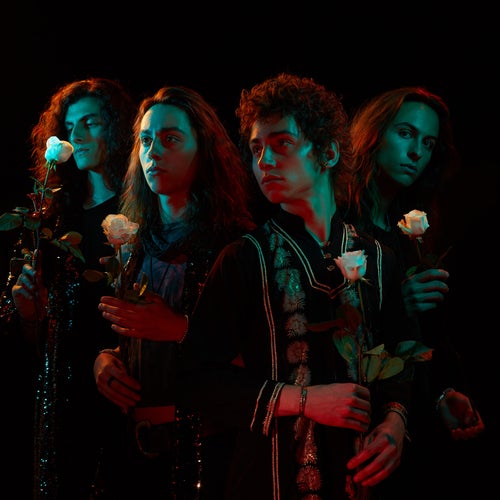 Greta Van Fleet Profile