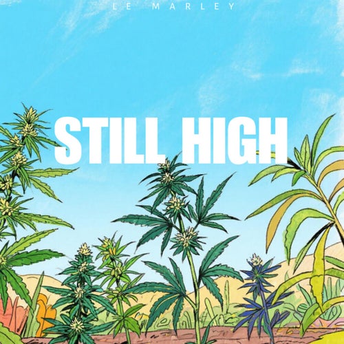 Still High